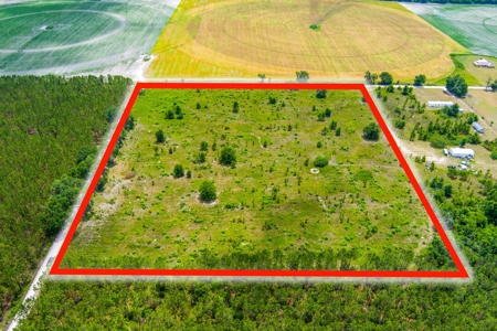Land For Sale In Lafayette County!!! - image 6