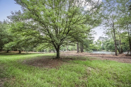 Hunting Land for Sale in East Baton Rouge Parish - image 2