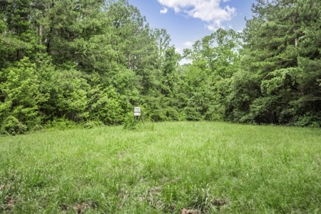 Hunting Land for Sale in East Baton Rouge Parish - image 15
