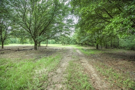 Hunting Land for Sale in East Baton Rouge Parish - image 6