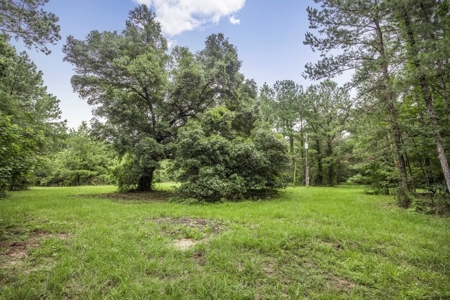 Hunting Land for Sale in East Baton Rouge Parish - image 14