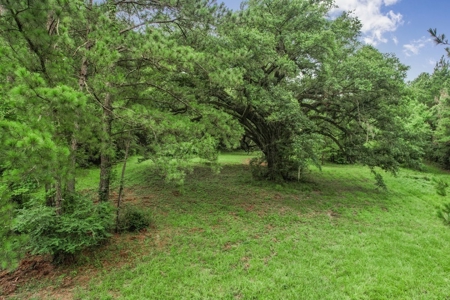 Hunting Land for Sale in East Baton Rouge Parish - image 30