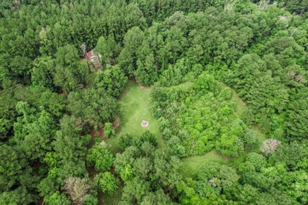Hunting Land for Sale in East Baton Rouge Parish - image 31