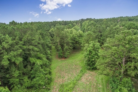 Hunting Land for Sale in East Baton Rouge Parish - image 27