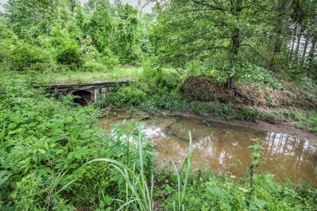 Hunting Land for Sale in East Baton Rouge Parish - image 22