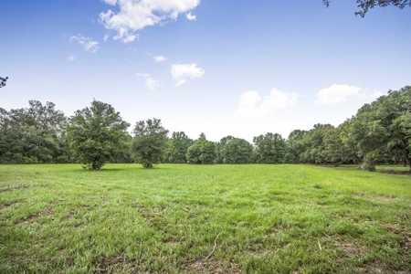 Hunting Land for Sale in East Baton Rouge Parish - image 5