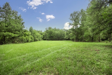 Hunting Land for Sale in East Baton Rouge Parish - image 17