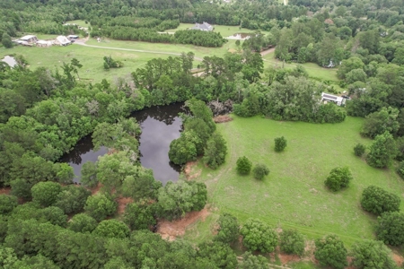 Hunting Land for Sale in East Baton Rouge Parish - image 26