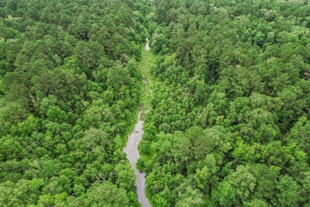 Hunting Land for Sale in East Baton Rouge Parish - image 29