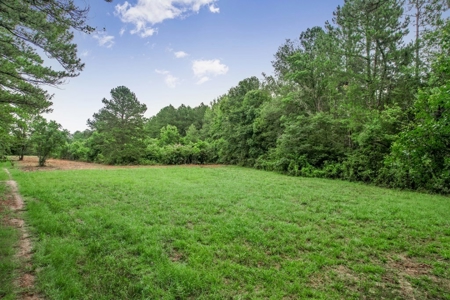 Hunting Land for Sale in East Baton Rouge Parish - image 23