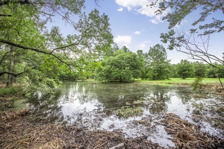 Hunting Land for Sale in East Baton Rouge Parish - image 4