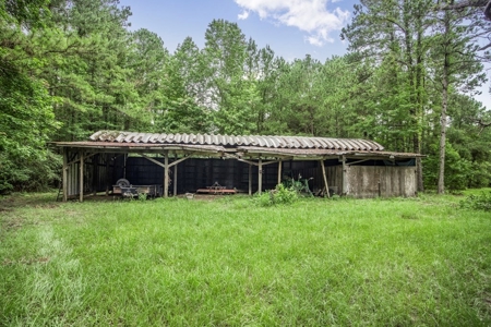 Hunting Land for Sale in East Baton Rouge Parish - image 13