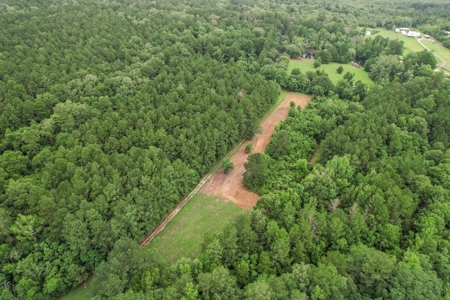 Hunting Land for Sale in East Baton Rouge Parish - image 25