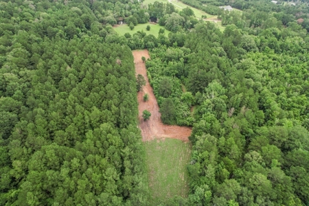 Hunting Land for Sale in East Baton Rouge Parish - image 24