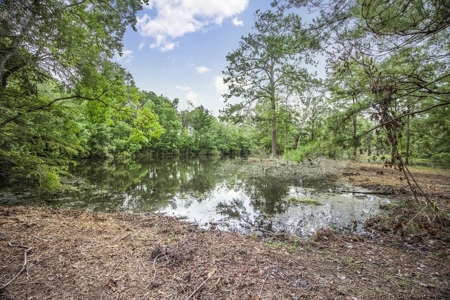 Hunting Land for Sale in East Baton Rouge Parish - image 3