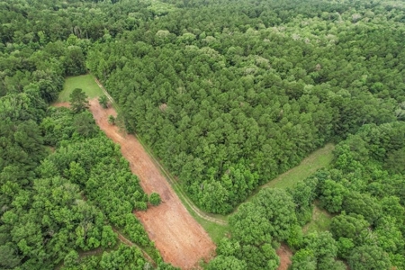 Hunting Land for Sale in East Baton Rouge Parish - image 1