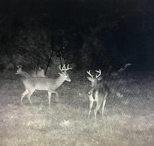 Hunting Land for Sale in East Baton Rouge Parish - image 35