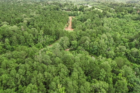 Hunting Land for Sale in East Baton Rouge Parish - image 28