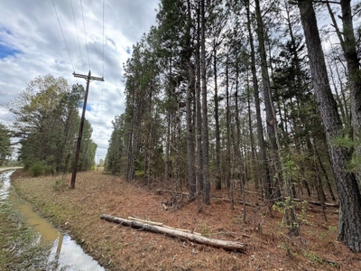 Land For Sale in Domino Texas - image 4