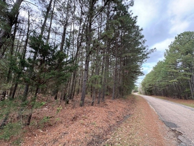 Land For Sale in Domino Texas - image 5