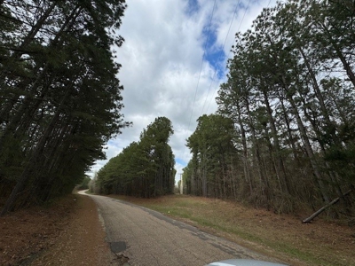Land For Sale in Domino Texas - image 2