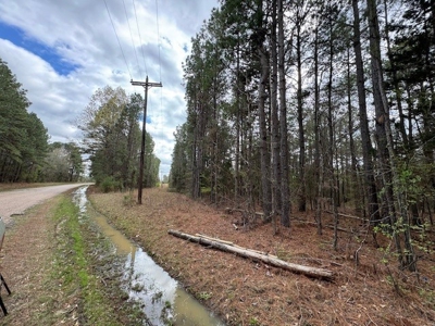 Land For Sale in Domino Texas - image 3