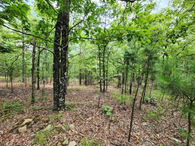 Winding Stair Mountain Recreational Property - For Sale - image 6