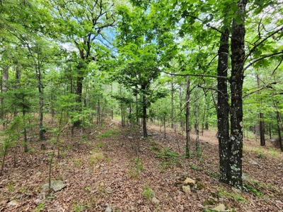 Winding Stair Mountain Recreational Property - For Sale - image 5