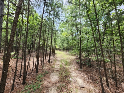 Winding Stair Mountain Recreational Property - For Sale - image 3