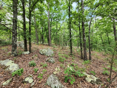 Winding Stair Mountain Recreational Property - For Sale - image 12