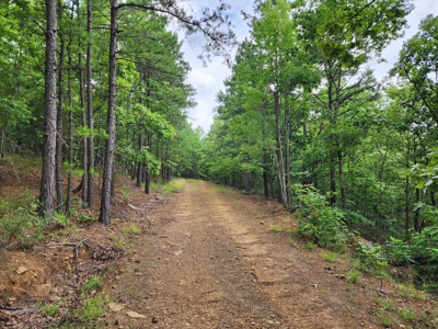 Winding Stair Mountain Recreational Property - For Sale - image 29