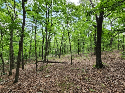 Winding Stair Mountain Recreational Property - For Sale - image 19