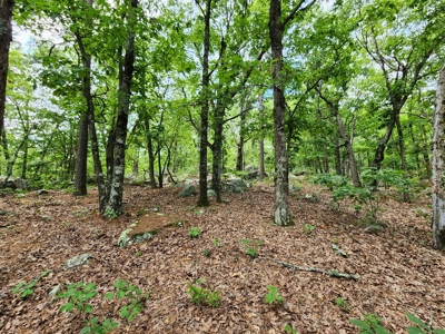 Winding Stair Mountain Recreational Property - For Sale - image 13