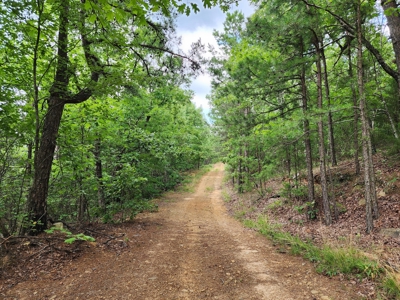 Winding Stair Mountain Recreational Property - For Sale - image 27