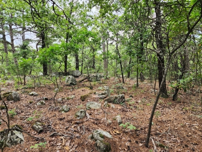 Winding Stair Mountain Recreational Property - For Sale - image 24