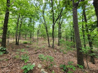 Winding Stair Mountain Recreational Property - For Sale - image 21