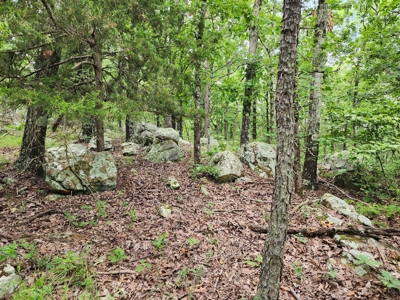 Winding Stair Mountain Recreational Property - For Sale - image 10