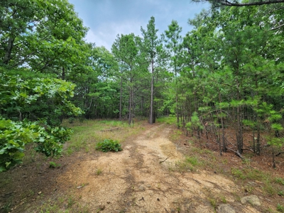 Winding Stair Mountain Recreational Property - For Sale - image 25