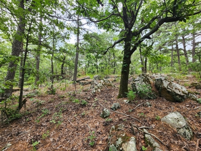 Winding Stair Mountain Recreational Property - For Sale - image 23