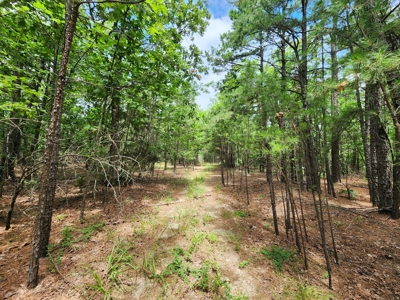 Winding Stair Mountain Recreational Property - For Sale - image 2