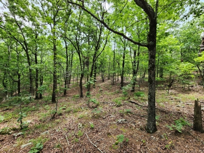 Winding Stair Mountain Recreational Property - For Sale - image 18