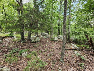 Winding Stair Mountain Recreational Property - For Sale - image 9