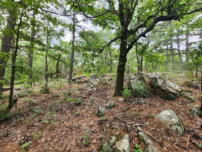 Winding Stair Mountain Recreational Property - For Sale - image 22