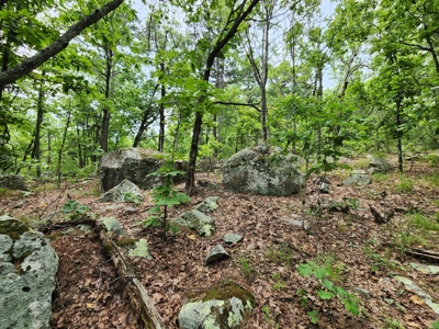 Winding Stair Mountain Recreational Property - For Sale - image 16