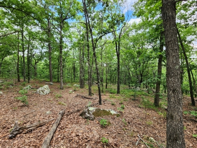 Winding Stair Mountain Recreational Property - For Sale - image 15
