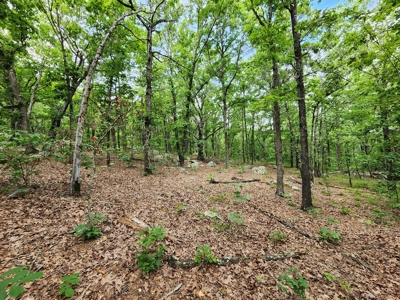 Winding Stair Mountain Recreational Property - For Sale - image 14