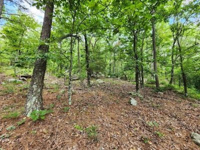Winding Stair Mountain Recreational Property - For Sale - image 7