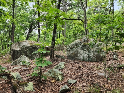 Winding Stair Mountain Recreational Property - For Sale - image 17