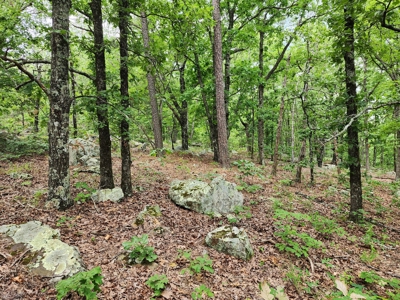 Winding Stair Mountain Recreational Property - For Sale - image 11