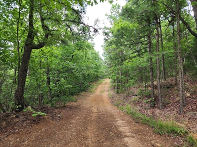 Winding Stair Mountain Recreational Property - For Sale - image 28